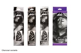 Art Charcoal Medium 10's